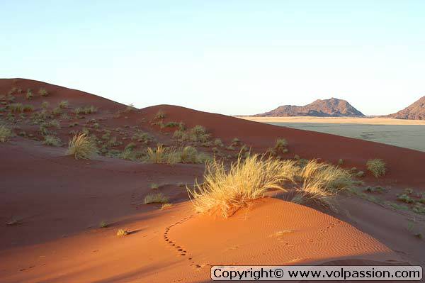 26_namib05