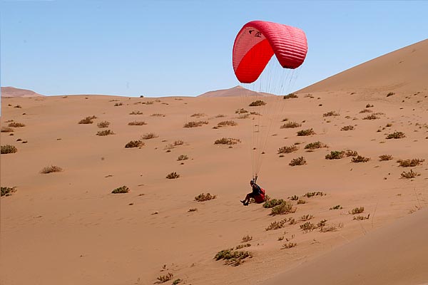 82_deadvlei