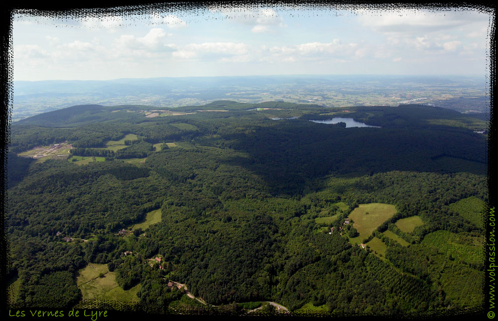 16-les-vernes-de-lyre