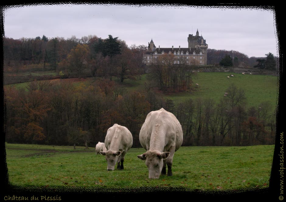 01-chateau-du-plessis