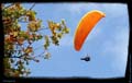 19-parapente