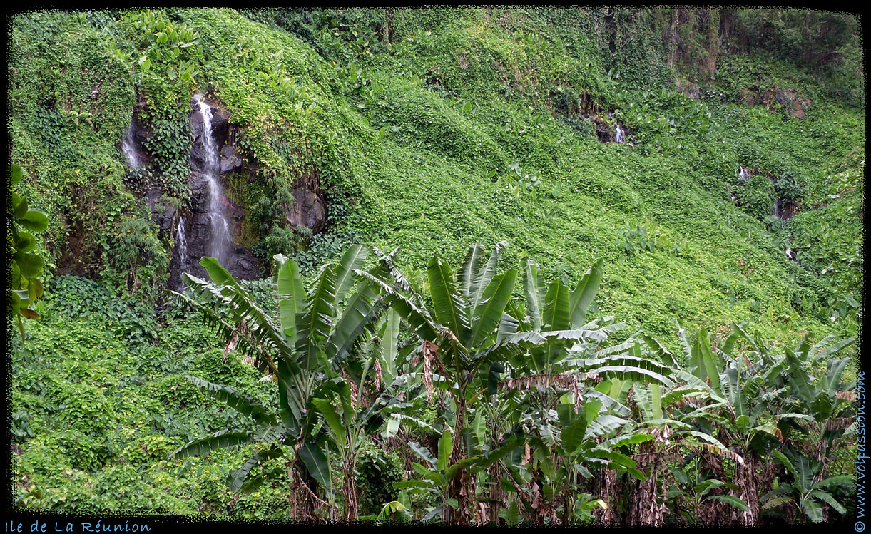 029-anse-des-cascades